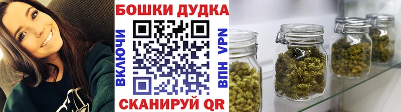 Конопля MAZAR  Купить  Гдов 